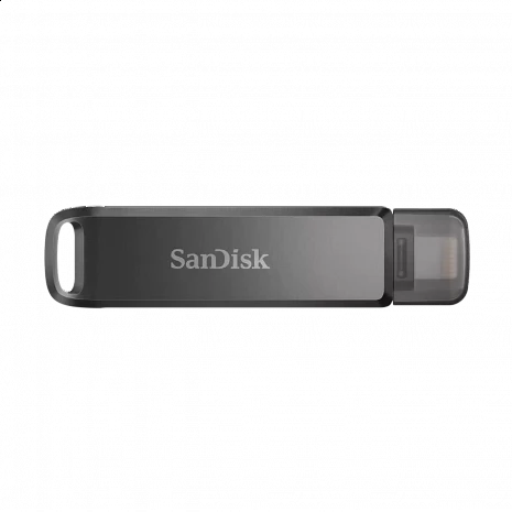 USB zibatmiņa  SDIX70N-064G-GN6NN
