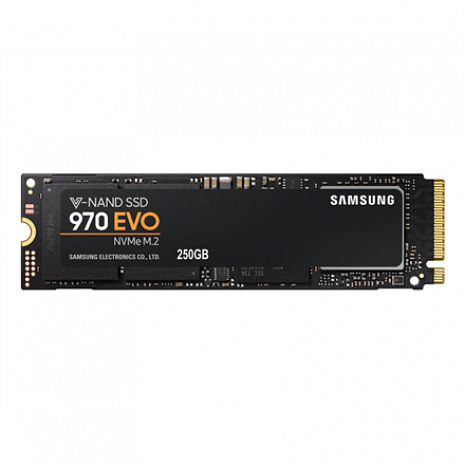 SSD disks 970 EVO MZ-V7E250BW