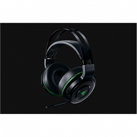 Austiņas  RZ04-02580100-R3G1