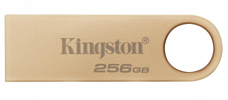 USB zibatmiņa MEMORY DRIVE FLASH USB3.2/256GB DTSE9G3/256GB DTSE9G3/256GB