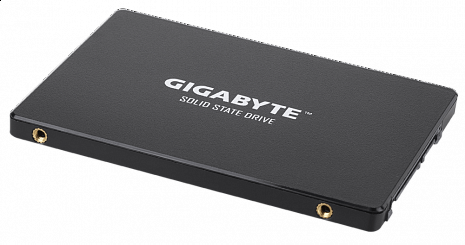 SSD disks GP-GSTFS31256GTND GP-GSTFS31256GTND