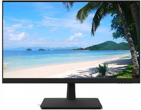 Monitors  DHI-LM24-H200