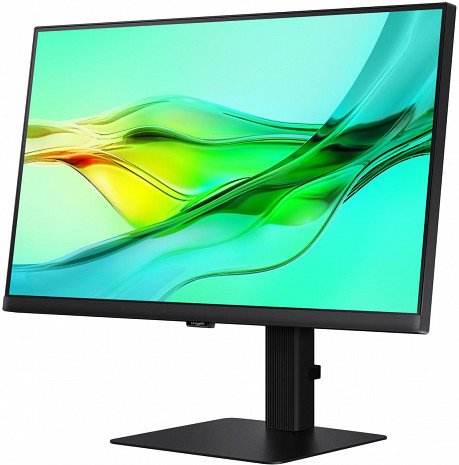 Monitors  LS24D600UAUXEN