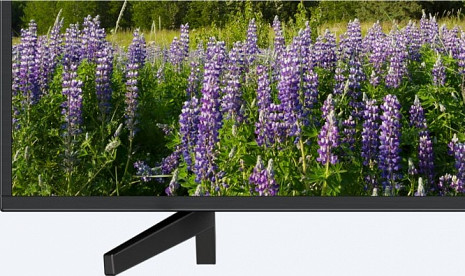 LED Televizors  KD55XF7005BAEP