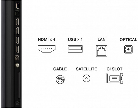 QD MiniLED televizors  55Q6C