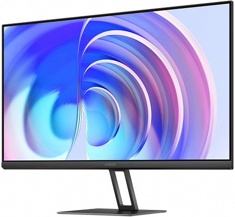 Monitors P24FBA-RAGL ELA5444EU