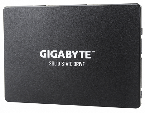 SSD disks GP-GSTFS31256GTND GP-GSTFS31256GTND