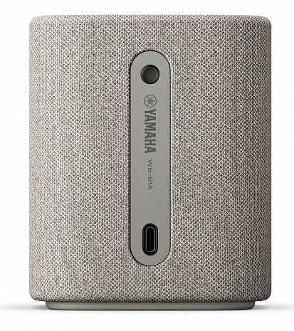 Portatīvais skaļrunis  WS-B1A LGY