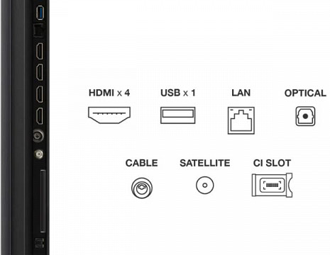 QLED Televizors  65C61K