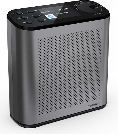 Радио  DR-P530(GY)