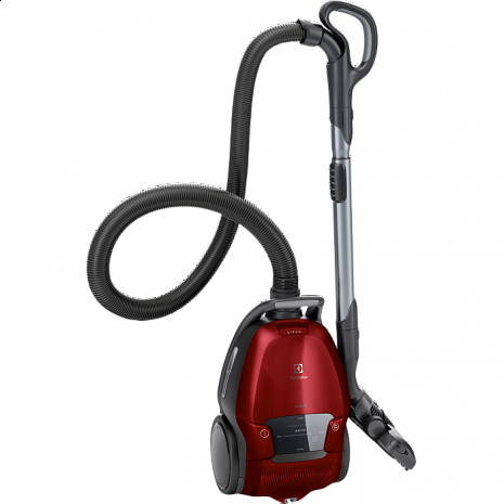 Putekļu sūcējs Pure D9 Animal PD91-ANIMA