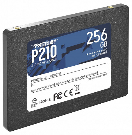 SSD disks P210 P210S256G25