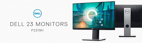 Monitors P2319H 210-APWT