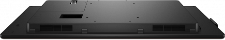 Monitors P5525QC 210-BNTN