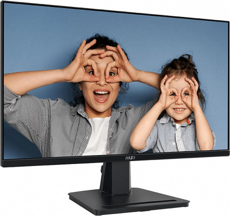 Monitors  PRO MP251