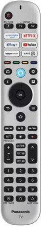 LED Televizors  TV-55W90AEG