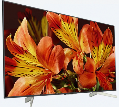 Телевизор  KD-55XF8505