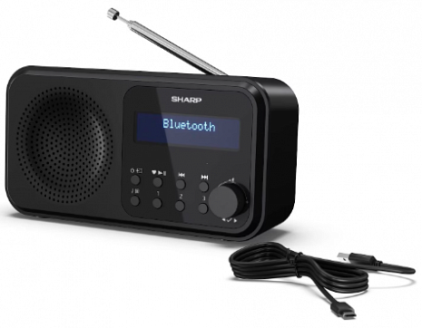 Radio ar bluetooth  DR-P420(BK)