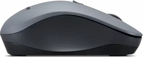 Bezvadu datorpele WL310 GY51Q65621