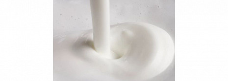 Piena putotājs Milk Twister CA6500/63