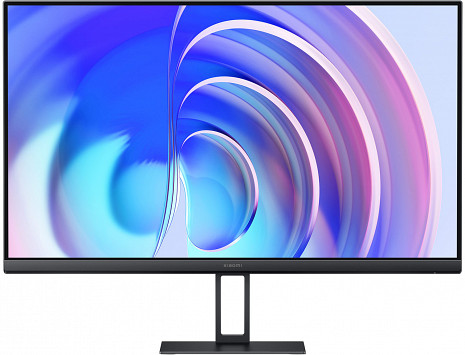 Monitors P24FBA-RAGL ELA5444EU