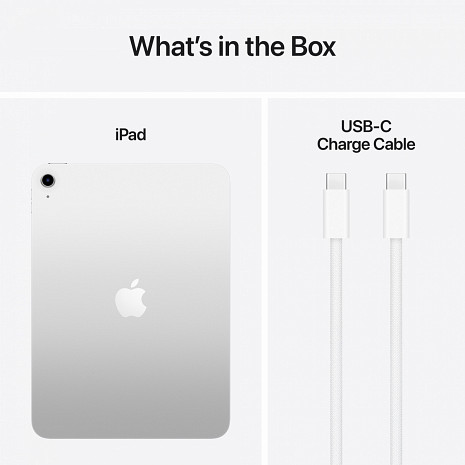 Planšetdators iPad 11" Wi-Fi MD3Y4HC/A