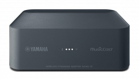 Tīkla atskaņotājs (MusicCast Streamer)  WXAD-10DGY