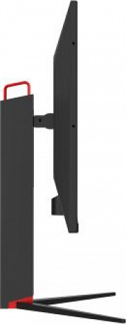 Monitors  DHI-LM32-P301A