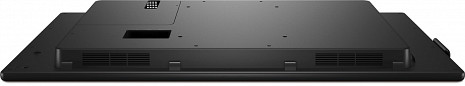 Monitors P5525QC 210-BNTN