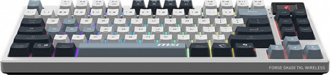 Bezvadu klaviatūra FORGE GK600 TKL WIRELESS SKY FORGE GK600 TKL W SKY US