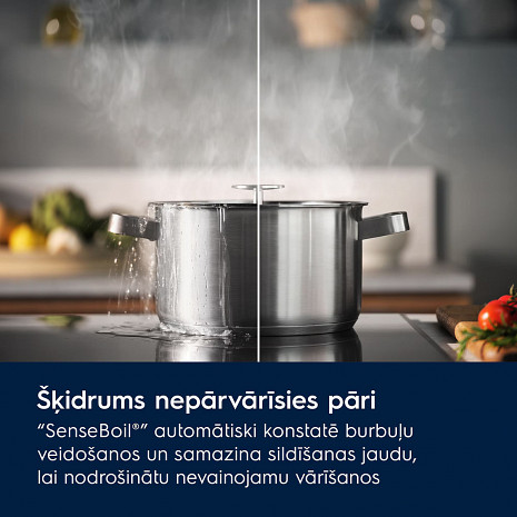 Поверхность плиты  EIS82453
