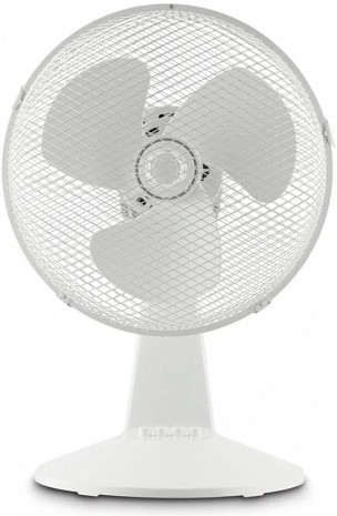 Gaisa ventilators  FT30-21M