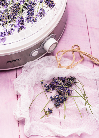 Augļu žāvētājs  MSG-11