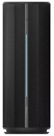 Portatīvais skaļrunis  QBH4275GL