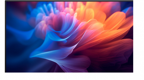 Monitors P2725H 210-BMGD