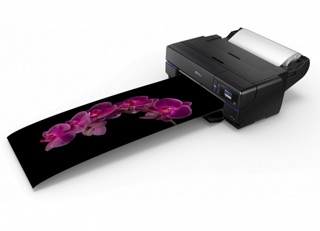 Printeris SureColor SC-P800 C11CE22301BX