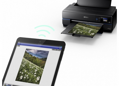 Printeris SureColor SC-P800 C11CE22301BX