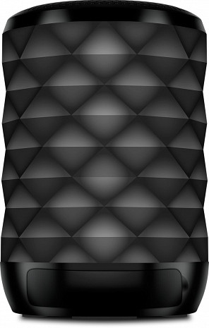 Portatīvais skaļrunis  PS-55 Black