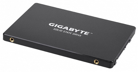 SSD disks  GP-GSTFS31100TNTD