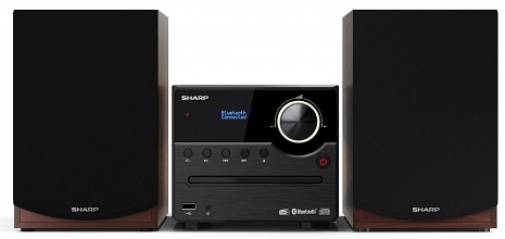 Mikro Hi-Fi sistēma XL-B517D XL-B517D(BR)