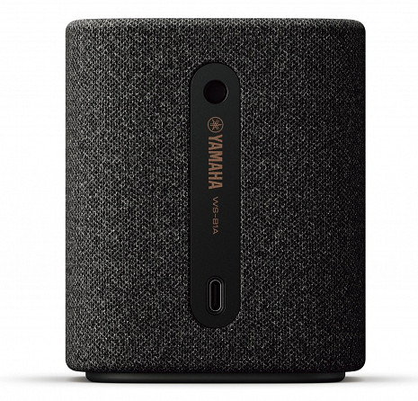 Portatīvais skaļrunis  WS-B1A CGY