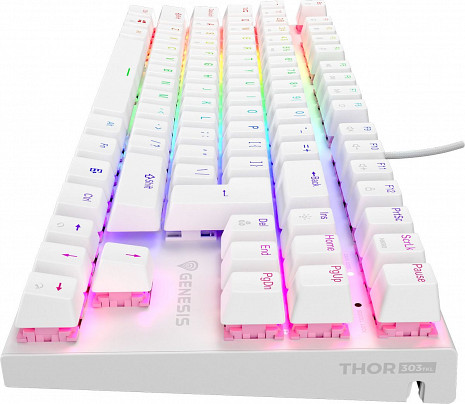 Klaviatūra THOR 303 NKG-2063