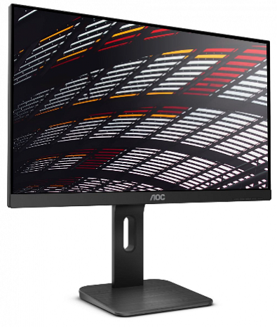 Monitors X24P1 X24P1