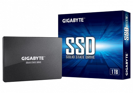SSD disks  GP-GSTFS31100TNTD