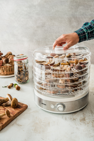 Augļu žāvētājs  MSG-11