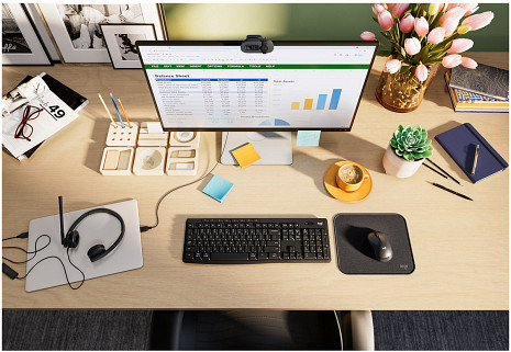 WEB kamera BRIO 105 960-001592