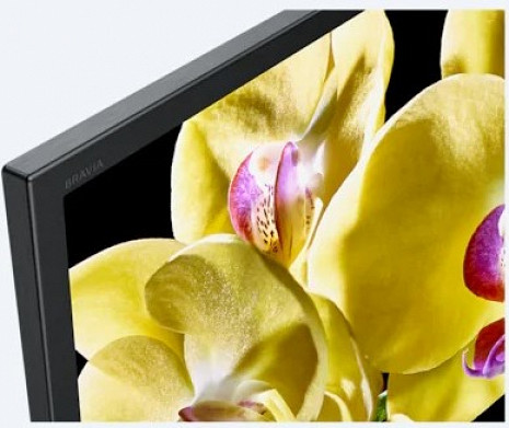 Телевизор KD-65XG8096BAEP KD65XG8096BAEP