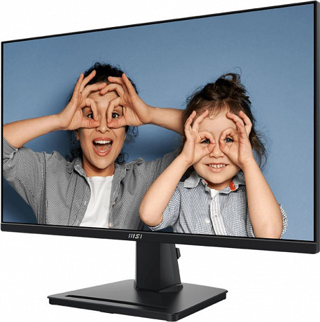 Monitors  PRO MP251