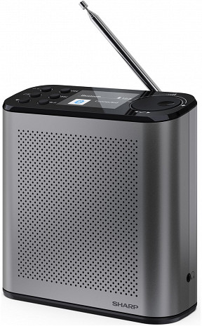 Радио  DR-P530(GY)