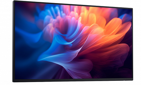 Monitors P2725H 210-BMGD